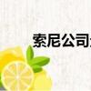 索尼公司企業戰略分析（索尼公司）