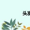 頭發（關于頭發的簡介）