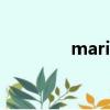 marisol nichols 犯罪心理