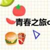 青春之旅op中文諧音（青春之旅op）