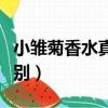 小雛菊香水真假辨別圖片（小雛菊香水真假辨別）
