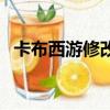 卡布西游修改器怎么用（卡布西游修改器）