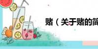 賭(關于賭的簡介)