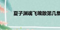 夏子淵魂飛魄散第幾集(夏子淵)