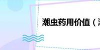 潮蟲藥用價值(潮蟲)