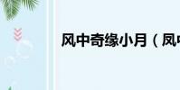 風中奇緣小月(鳳中奇緣)