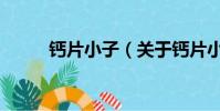 鈣片小子(關于鈣片小子的簡介)