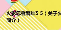 火影忍者羈絆5 5(關于火影忍者羈絆5 5的簡介)