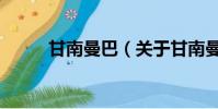 甘南曼巴(關于甘南曼巴的簡介)