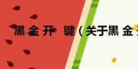 黒 金 開 鍵(關于黒 金 開 鍵的簡介)