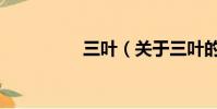 三葉(關于三葉的簡介)