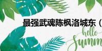 最強武魂陳楓洛城東(最強武魂)