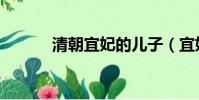清朝宜妃的兒子(宜妃的兒子)