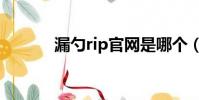 漏勺rip官網是哪個(漏勺rip)