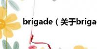 brigade(關于brigade的簡介)