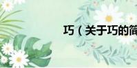 巧(關于巧的簡介)