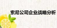 索尼公司企業戰略分析(索尼公司)
