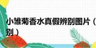小雛菊香水真假辨別圖片(小雛菊香水真假辨別)