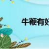 牛鞭有好長（牛鞭為什么那么長）