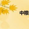中糧網客服電話（中糧網）