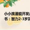 小小孩潛能開發叢書:智力2-3歲(關于小小孩潛能開發叢書:智力2-3歲簡介)