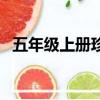 五年級上冊珍珠鳥的資料（珍珠鳥的資料）