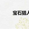 寶石獵人（關于寶石獵人的簡介）