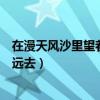 在漫天風沙里望著你遠去是什么意思（在漫天風沙里望著你遠去）