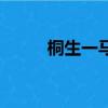 桐生一馬（關于桐生一馬的簡介）