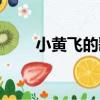 小黃飛的歌曲（小黃飛唱的什么歌）