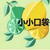 小小口袋書(關于小小口袋書簡介)