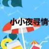 小小夜尋情記(關于小小夜尋情記簡介)