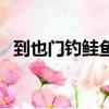 到也門釣鮭魚（關于到也門釣鮭魚的簡介）