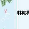 韓梅梅（關于韓梅梅的簡介）