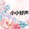 小小好聲音（關于小小好聲音簡介）