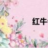 紅牛會長痘嗎（紅牛會長）
