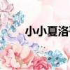 小小夏洛蒂(關于小小夏洛蒂簡介)