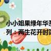 小小姐果綠年華系列:兩生花開時(關于小小姐果綠年華系列:兩生花開時簡介)
