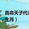 真命天子代表什么生肖?（真命天子代表什么生肖）