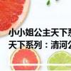 小小姐公主天下系列：清河公主·洙宛傳3（關于小小姐公主天下系列：清河公主·洙宛傳3簡介）