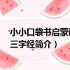 小小口袋書啟蒙讀物:三字經(關于小小口袋書啟蒙讀物:三字經簡介)