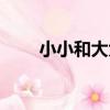小小和大大(關于小小和大大簡介)