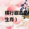 橫行霸道是指哪個生肖?（橫行霸道是指哪個生肖）