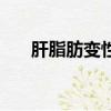 肝脂肪變性紅藍鉛筆繪圖（鉛筆繪圖）