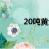 20噸黃金多大體積（20噸黃金）