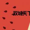 雙城天下（關于雙城天下的簡介）