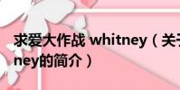 求愛大作戰 whitney(關于求愛大作戰 whitney的簡介)