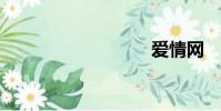 愛情網