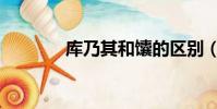 庫乃其和馕的區別(庫乃其)
