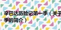 辛巴達歷險記第一季(關于辛巴達歷險記第一季的簡介)